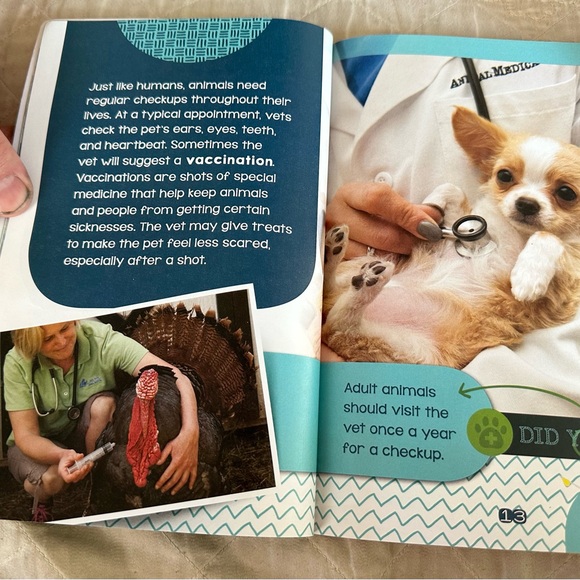 A visit to the vet- scholastic - Picture 5 of 7